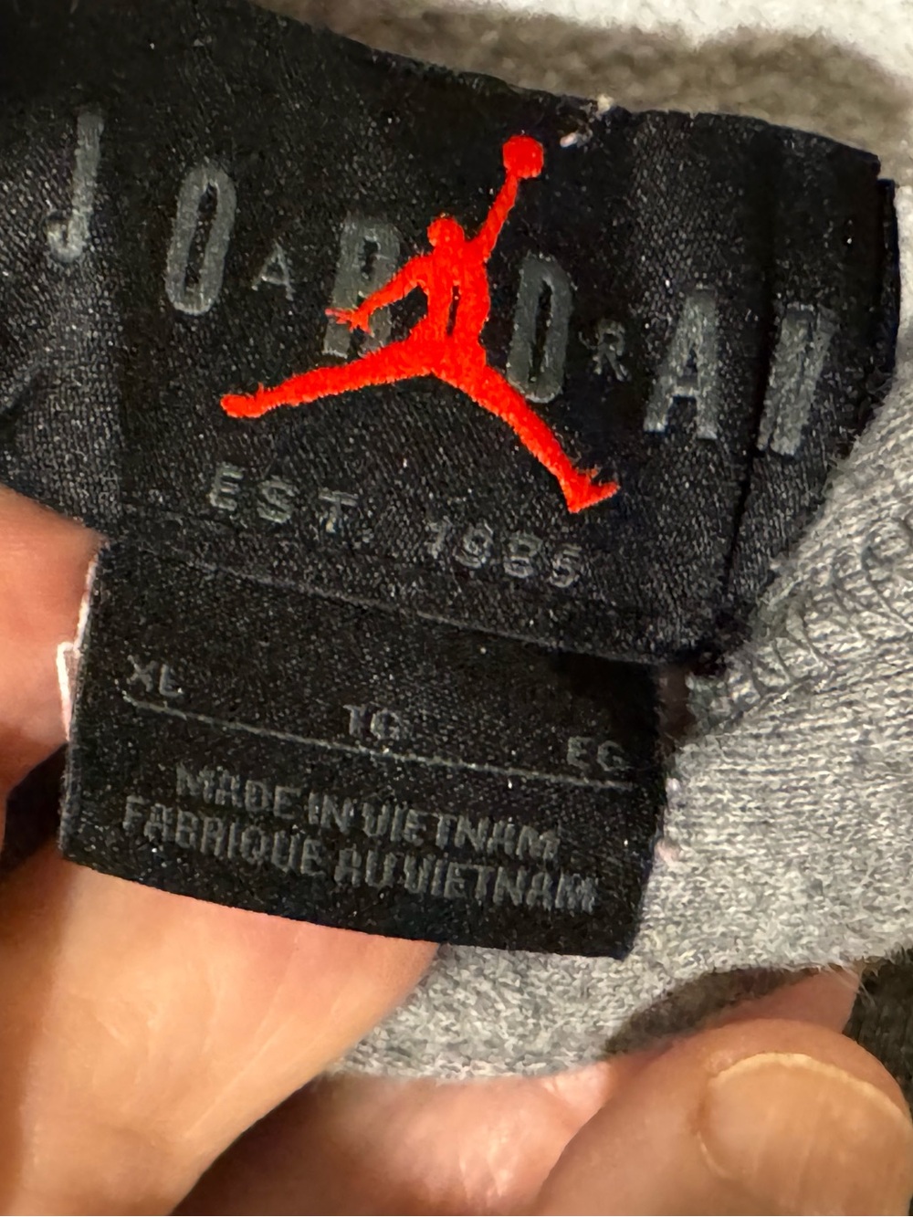 Jordan grey thick hoodie